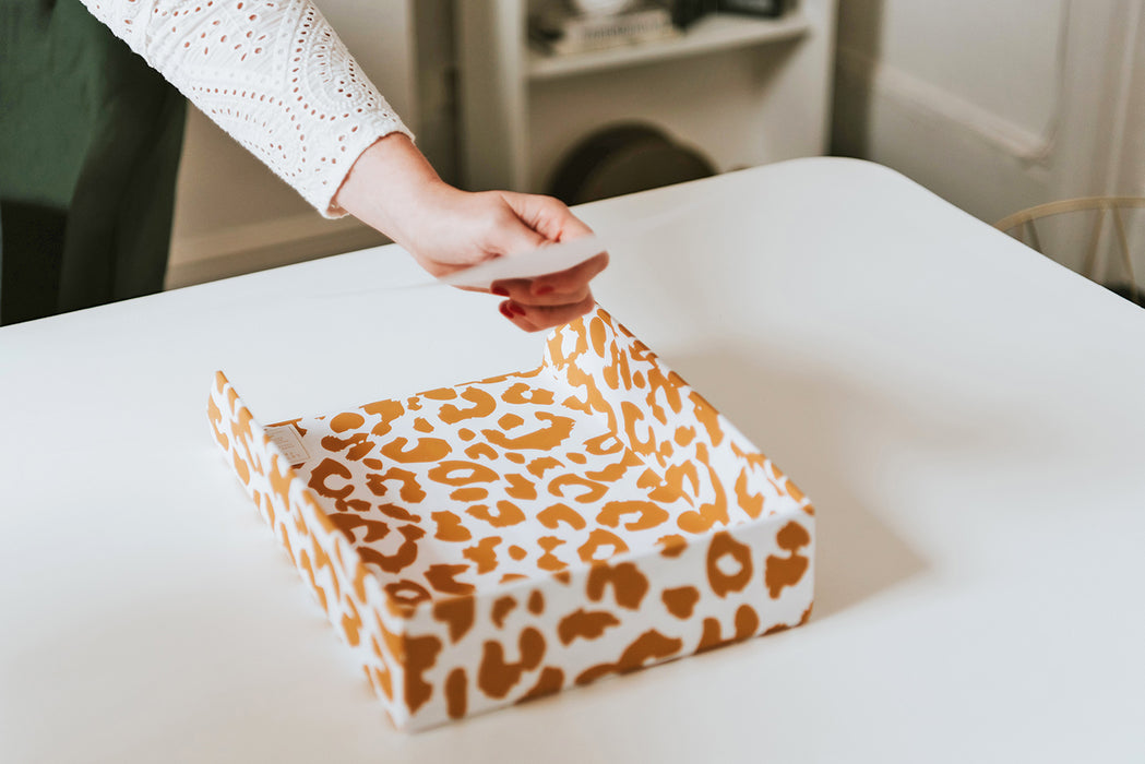 Leopard Print Letter Tray